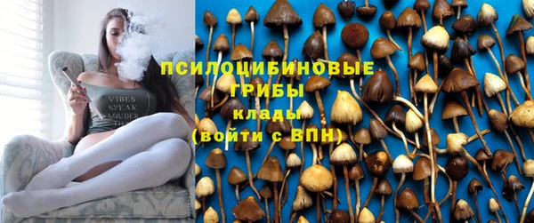 кокс Абдулино