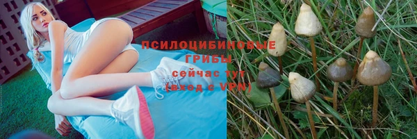 эйфоретик Абинск