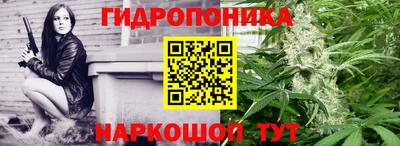 бошки Ярославль