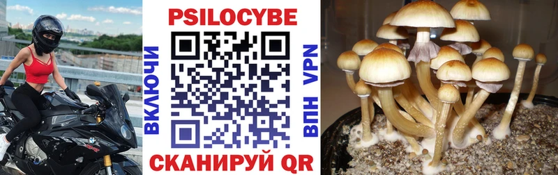 Галлюциногенные грибы Cubensis  hydra ССЫЛКА  Ангарск  продажа наркотиков 