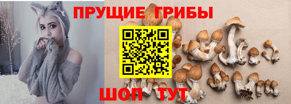 Конопля Ангарск
